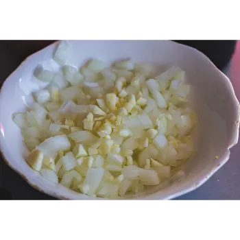 frozen-onion-06 (1)-7608766-14501.webp